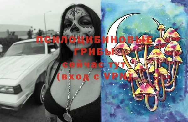 ПСИЛОЦИБИНОВЫЕ ГРИБЫ Киренск